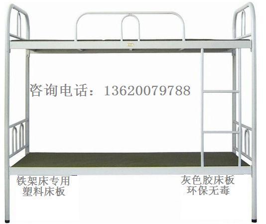 供应东城防蛀虫塑料床板厂家